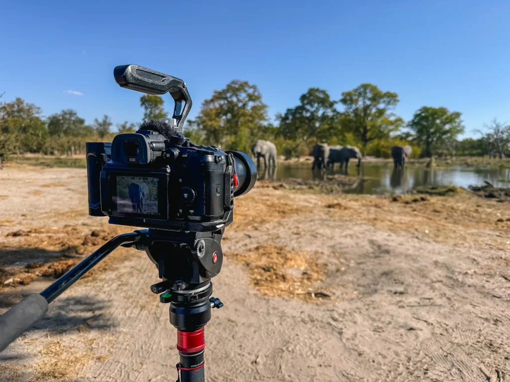 Photographing elephants on foot in Moremi Game Reserve, Okavango Delta, Botswana