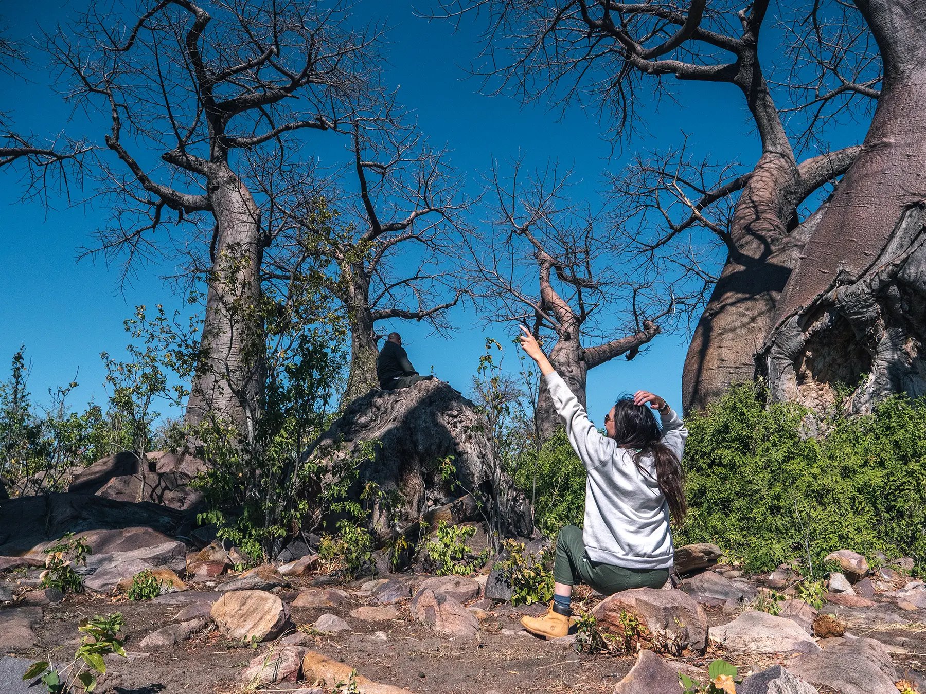 Ella Mckendrick sitting by ancient baobab trees in Savuti, Chobe National Park, Botswana