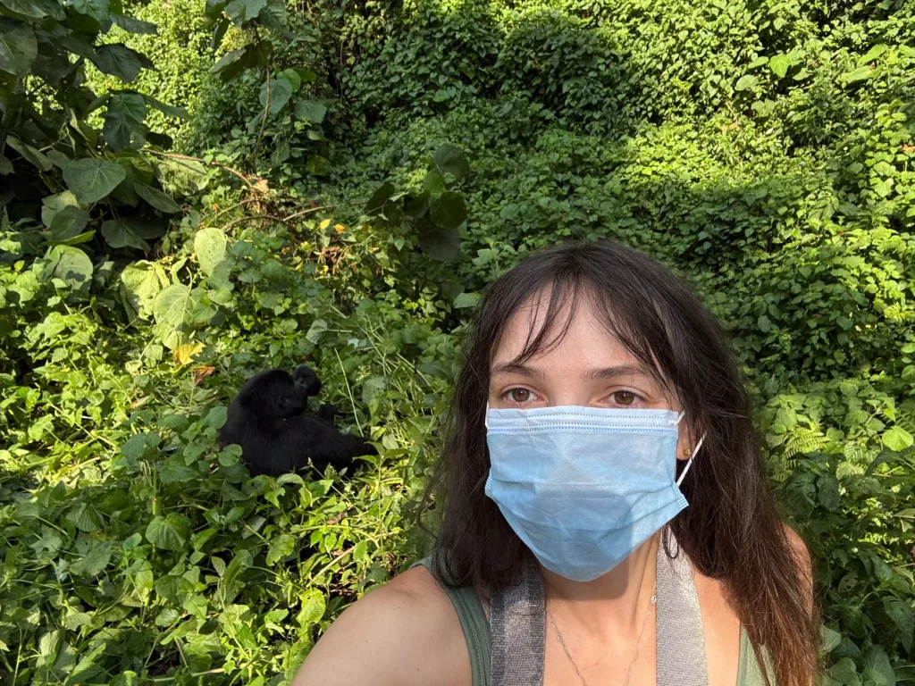 Ella McKendrick with mountain gorilla in Bwindi Impenetrable Forest, Uganda. Their diet consists mostly of leaves, shoots, and stems.