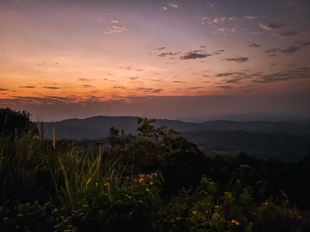 Kibale National Park, Uganda has exceptional birdlife, with around 370 – 375 species, including Albertine Rift endemics and the ground thrush