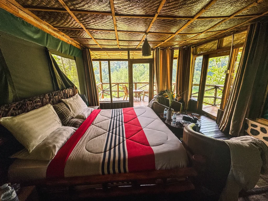 My room at Rushaga Gorilla Lodge with views across Bwindi Impenetrable Forest, Uganda