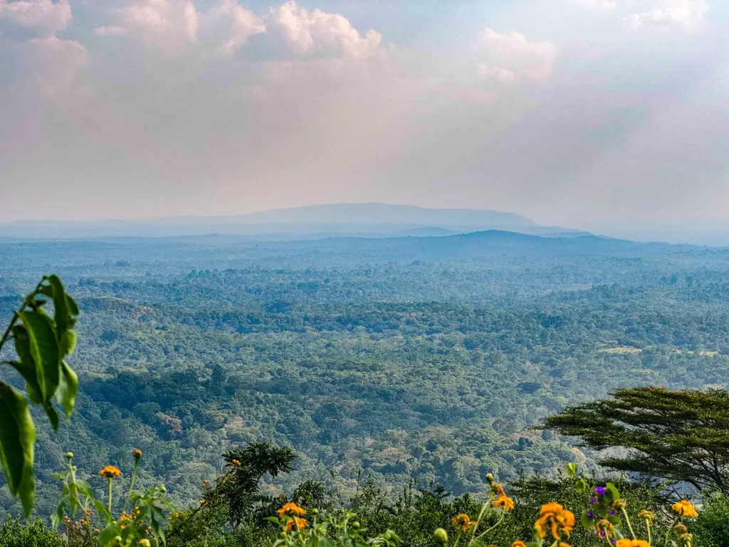 View over Kibale Forest from Isunga Lodge, Uganda