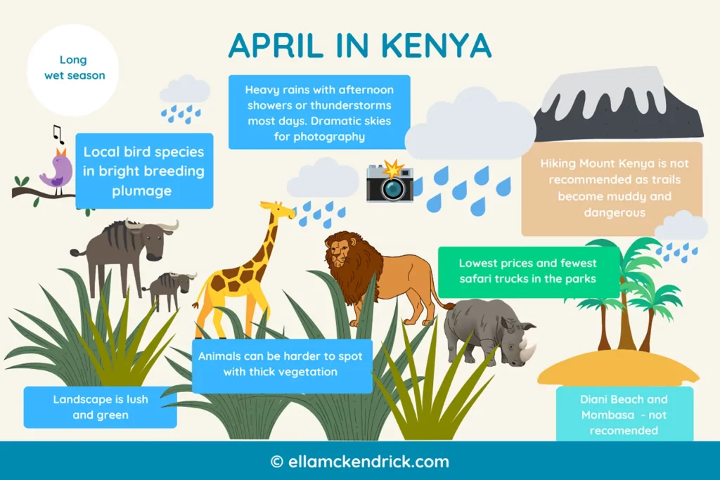 Visual guide to Kenya in August