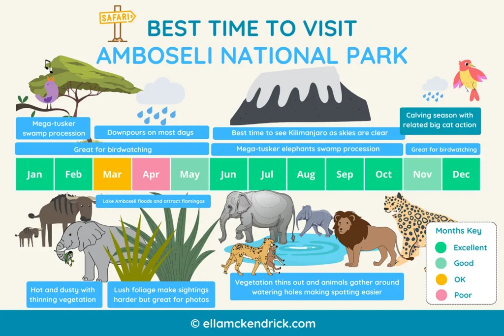 Visual guide showing the best time to visit Amboseli, Kenya
