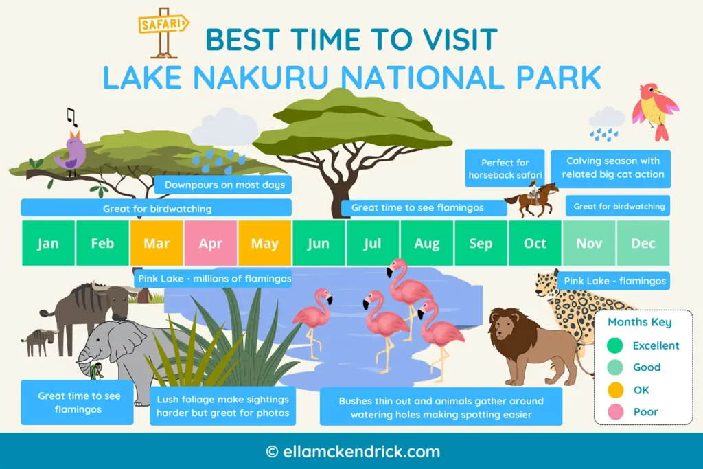 Visual guide showing the best time to visit Lake Nakuru, Kenya