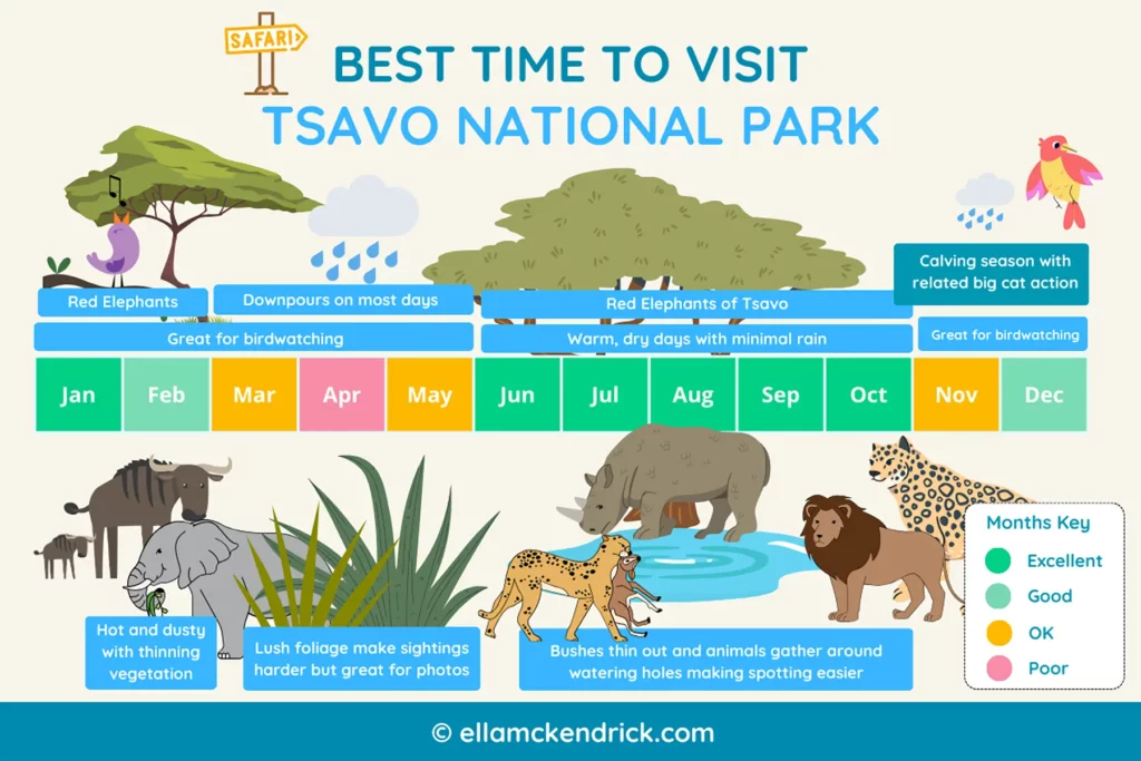 Visual guide showing the best time to visit Tsavo East and West, Kenya