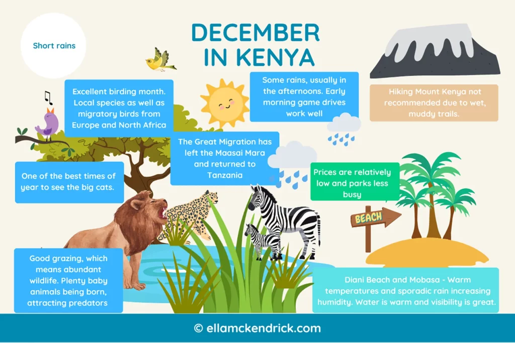 Visual guide to Kenya in December