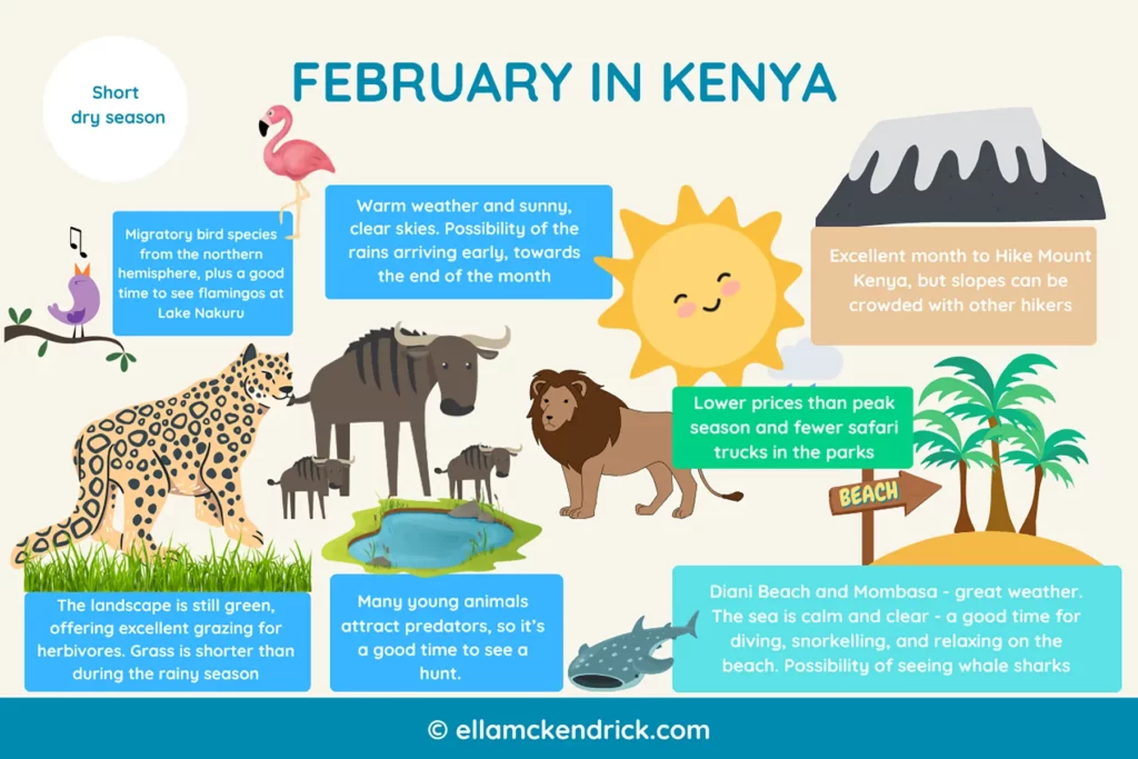 Visual guide to Kenya in February