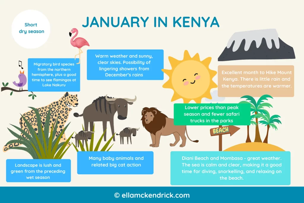 Visual guide to Kenya in  January