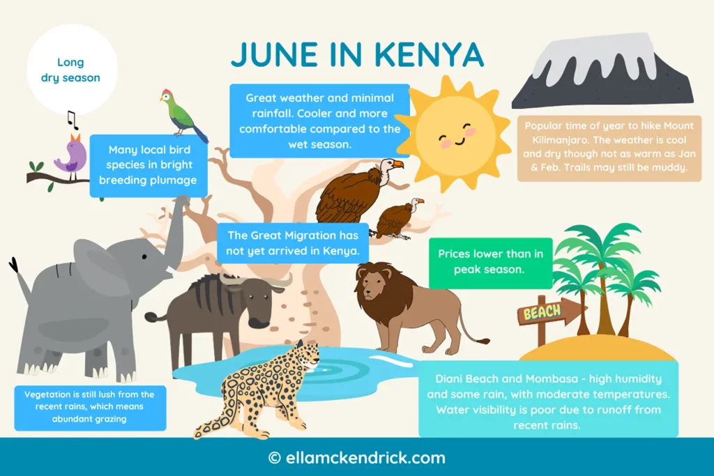 Visual guide to Kenya in June