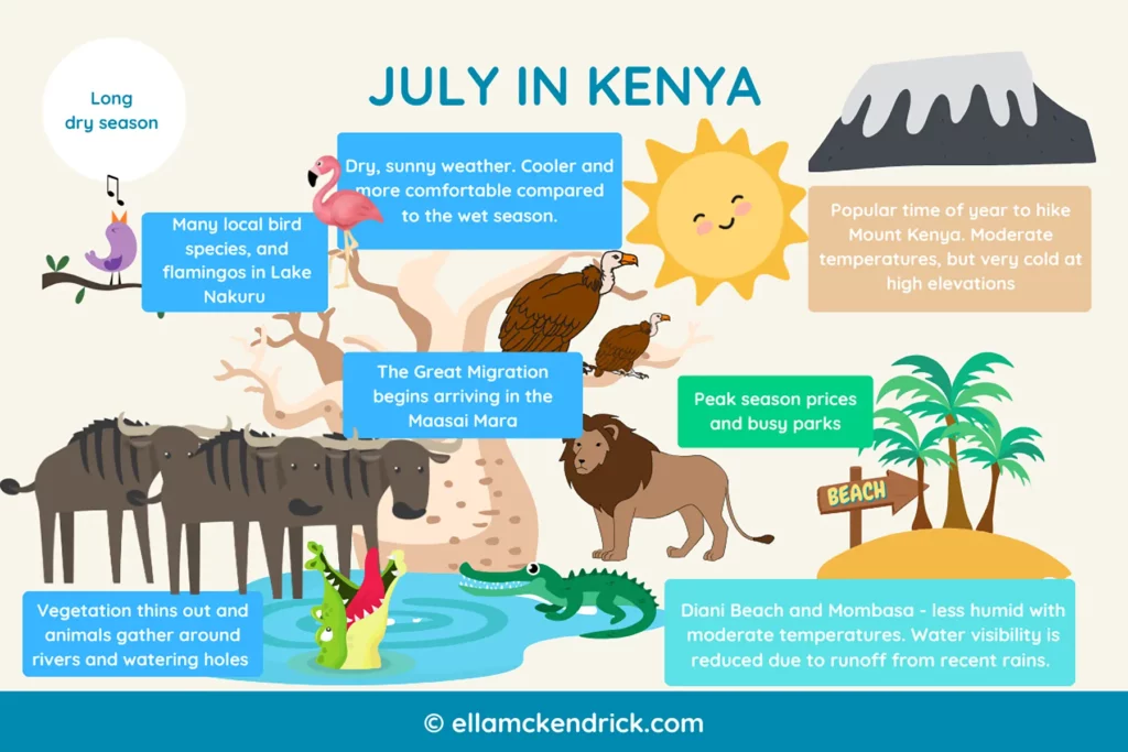 Visual guide to Kenya in July