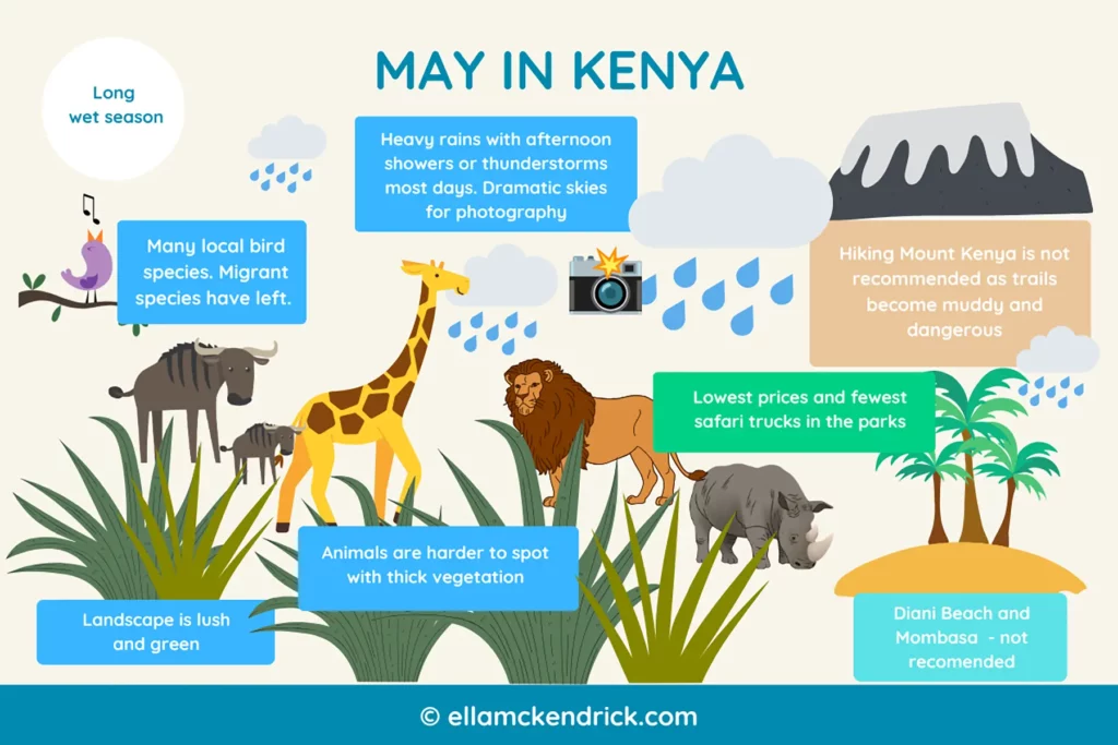 Visual guide to Kenya in May
