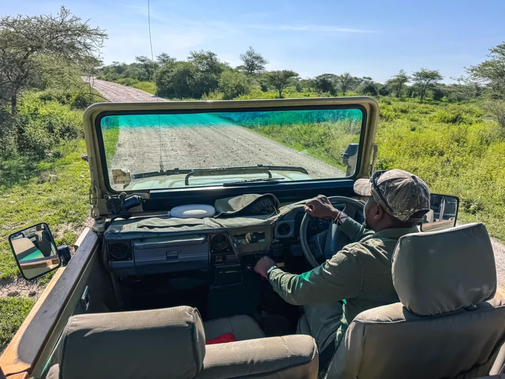 On Safari in an open Land cruiser in Ndutu in Southern Serengeti, Tanzania
