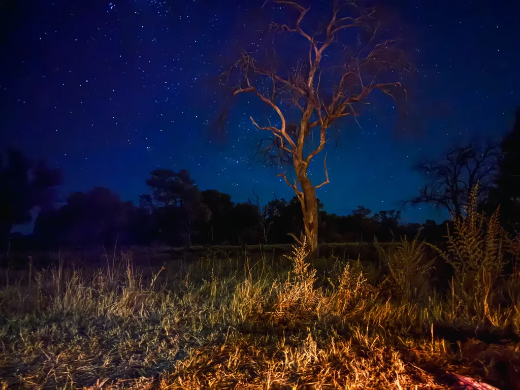 Starry night in Khwai Community Area, Botswana