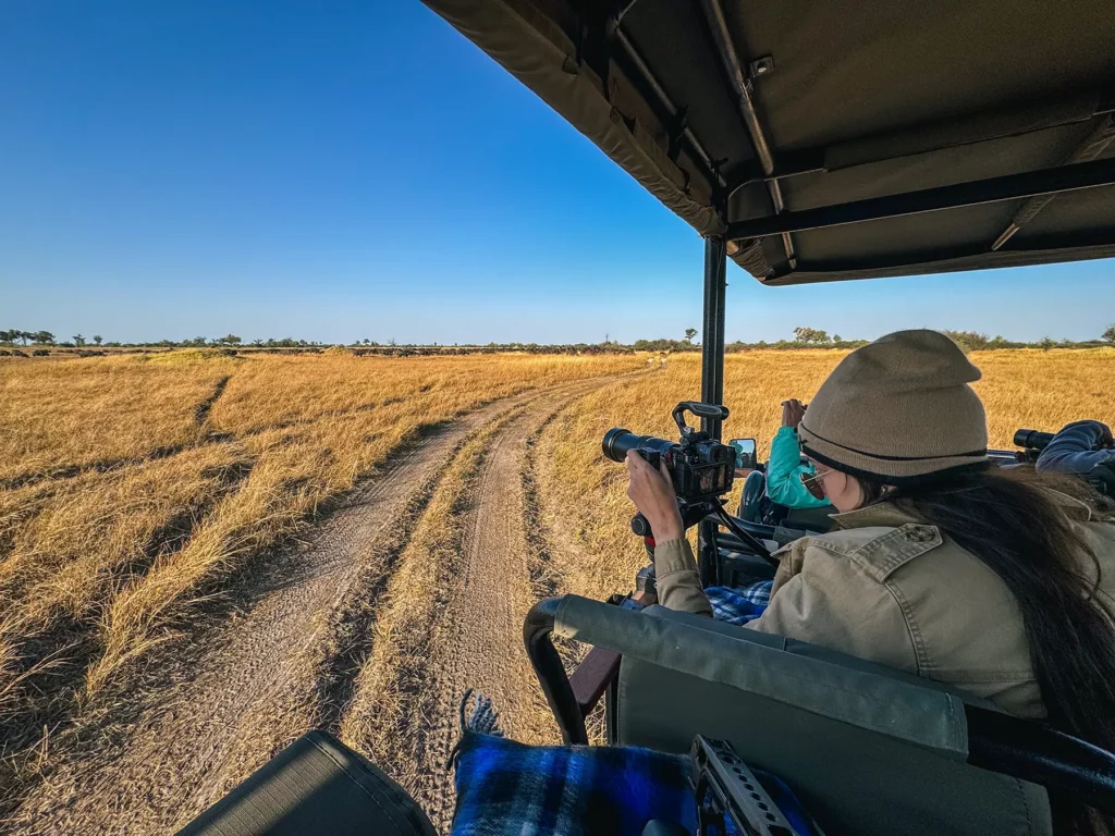 Ella Mckendrick photographing a huge heard of buffalo in Moremi Game Reserve, Okavango Delta, Botswana