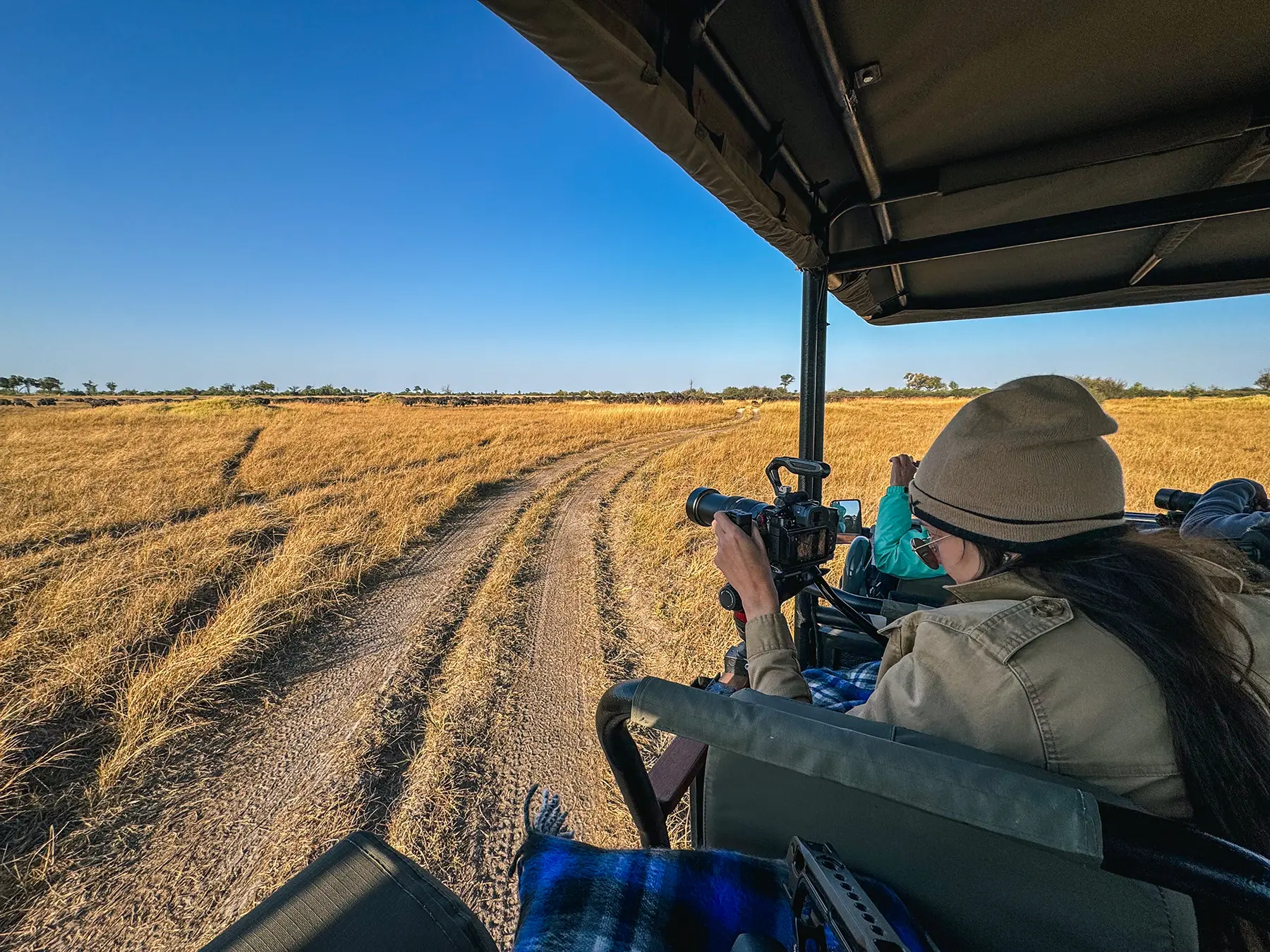Ella Mckendrick photographing a huge herd of buffalo in Moremi Game Reserve, Okavango Delta, Botswana