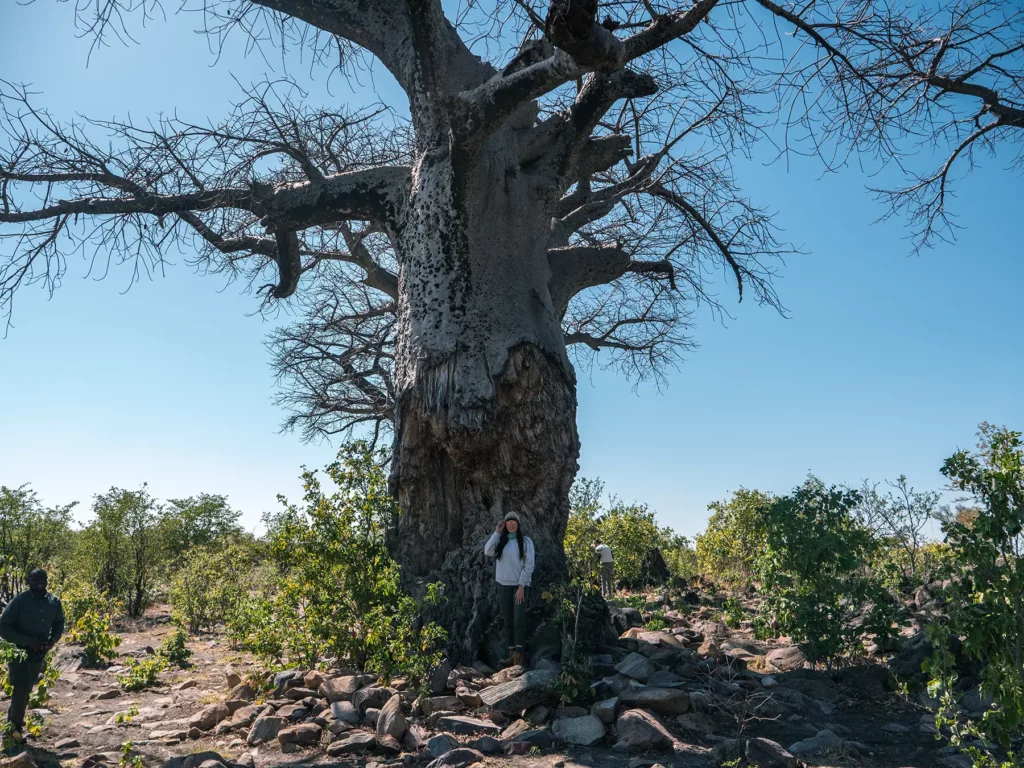 Ella McKendrick under a baobab tree in Savuti, Chobe National Park, Botswana