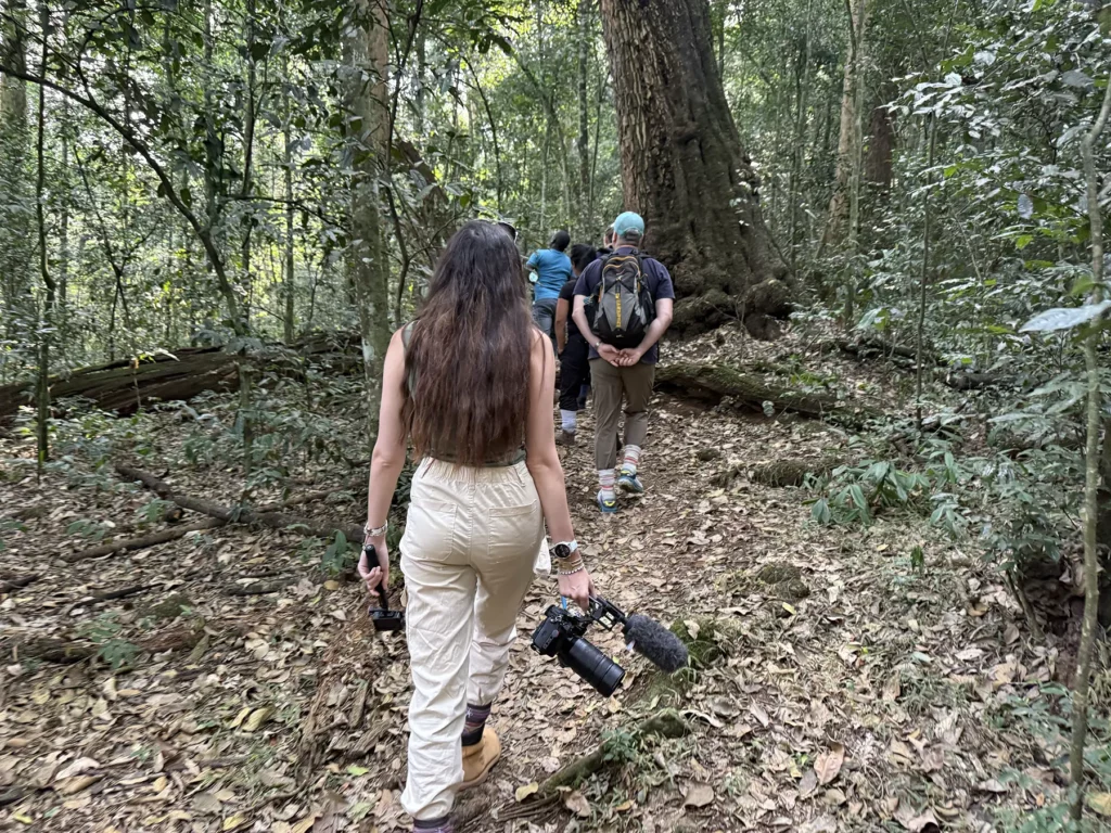 Ella McKendrick chimpanzee tracking in Kibale Forest National Park, Uganda