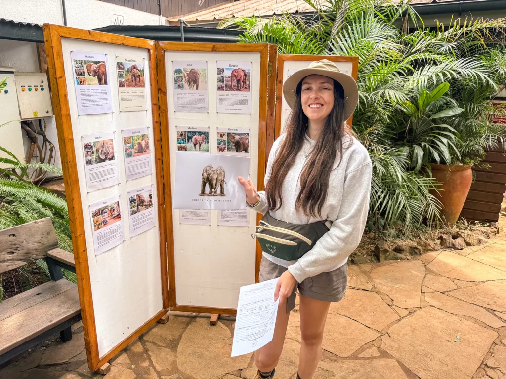 Ella McKendrick adopting baby elephant at Sheldrick Wildlife Trust, Nairobi National Park, Kenya