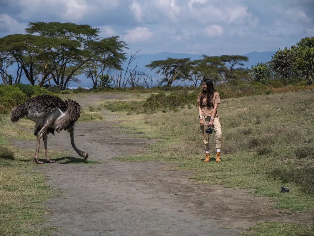 Ella McKendrick watching ostrich on Crescent Island at Lake Naivasha, Kenya