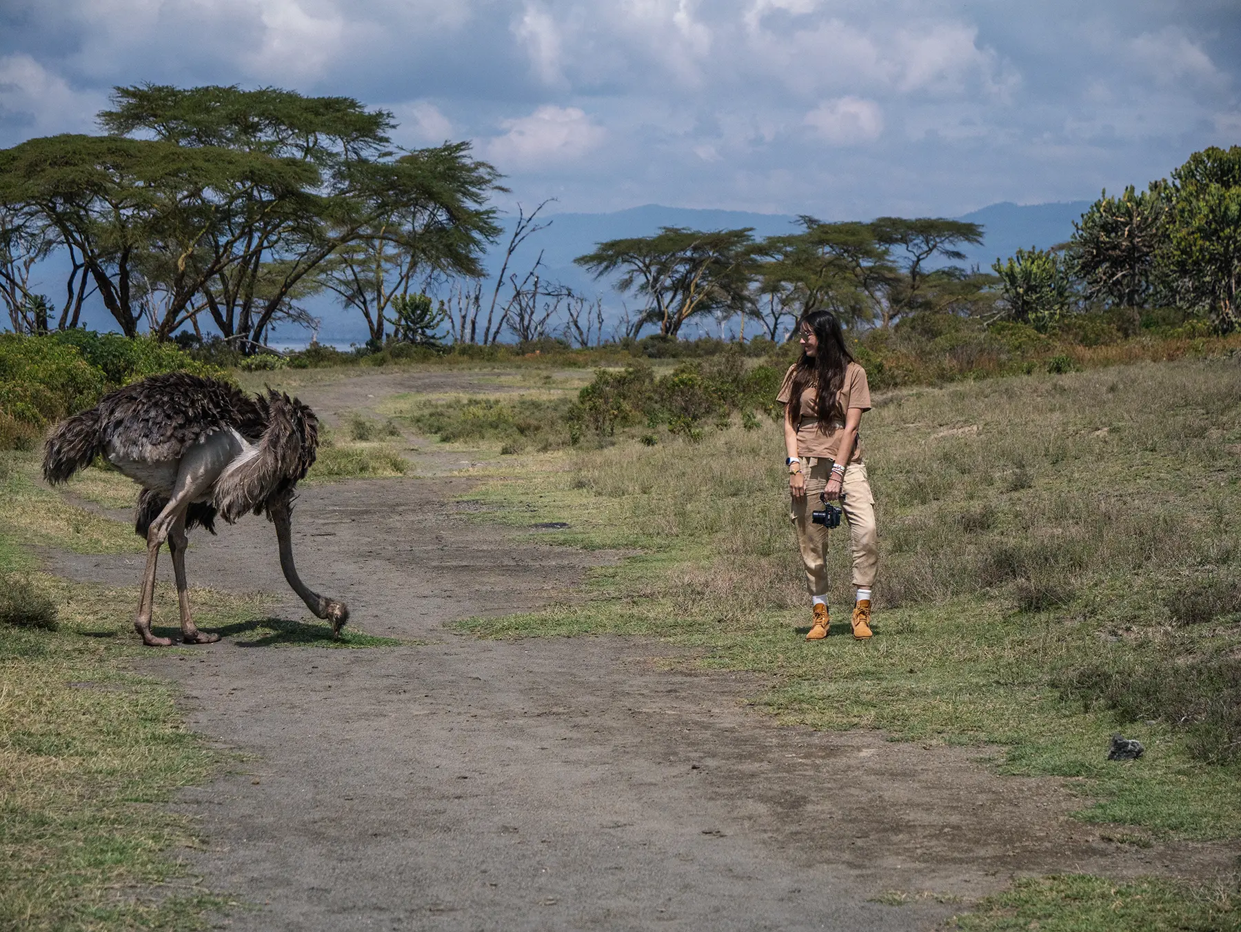 Ella McKendrick watching ostrich on Crescent Island at Lake Naivasha, Kenya