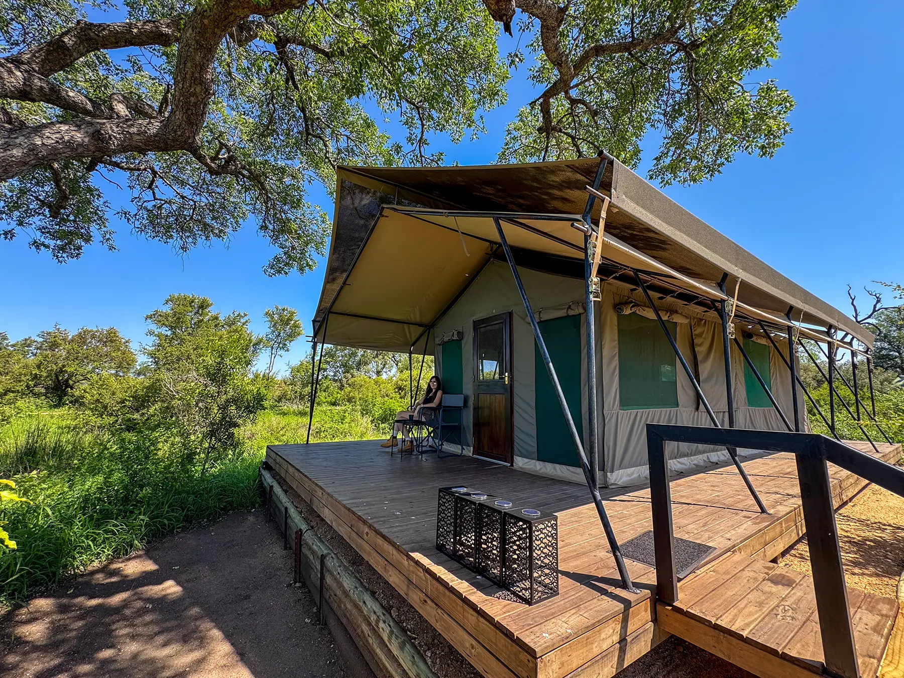 Front view of a canvas safari tent on a raised wooden deck with a shade awning and steps beneath a large tree on safari in the Manyeleti Game Reserve, South Africa