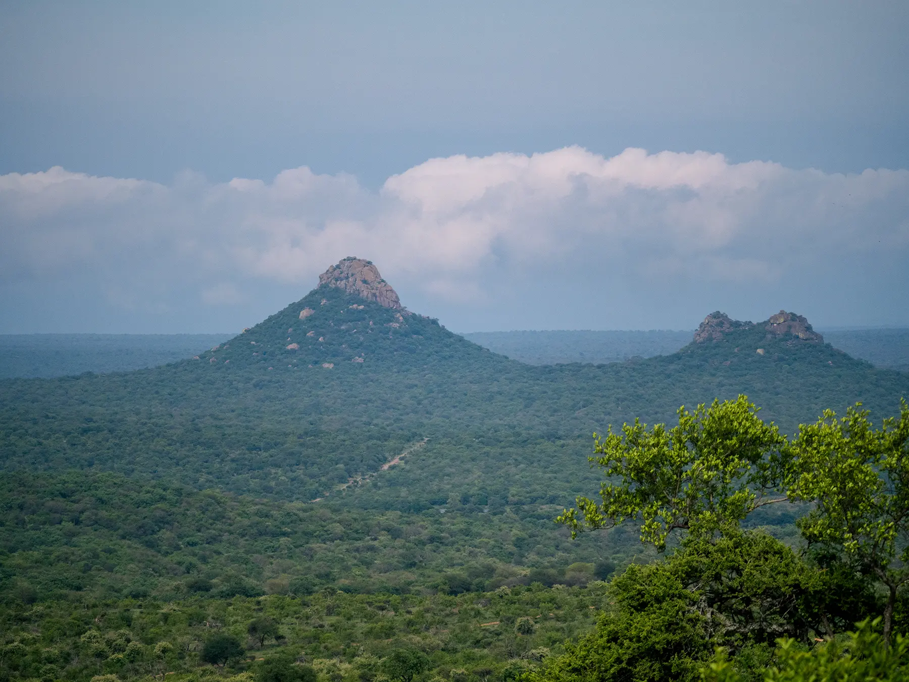 Rocky kopjes rising above thick green bushveld under cloudy skies on safari in Olifants West Game Reserve, South Africa
