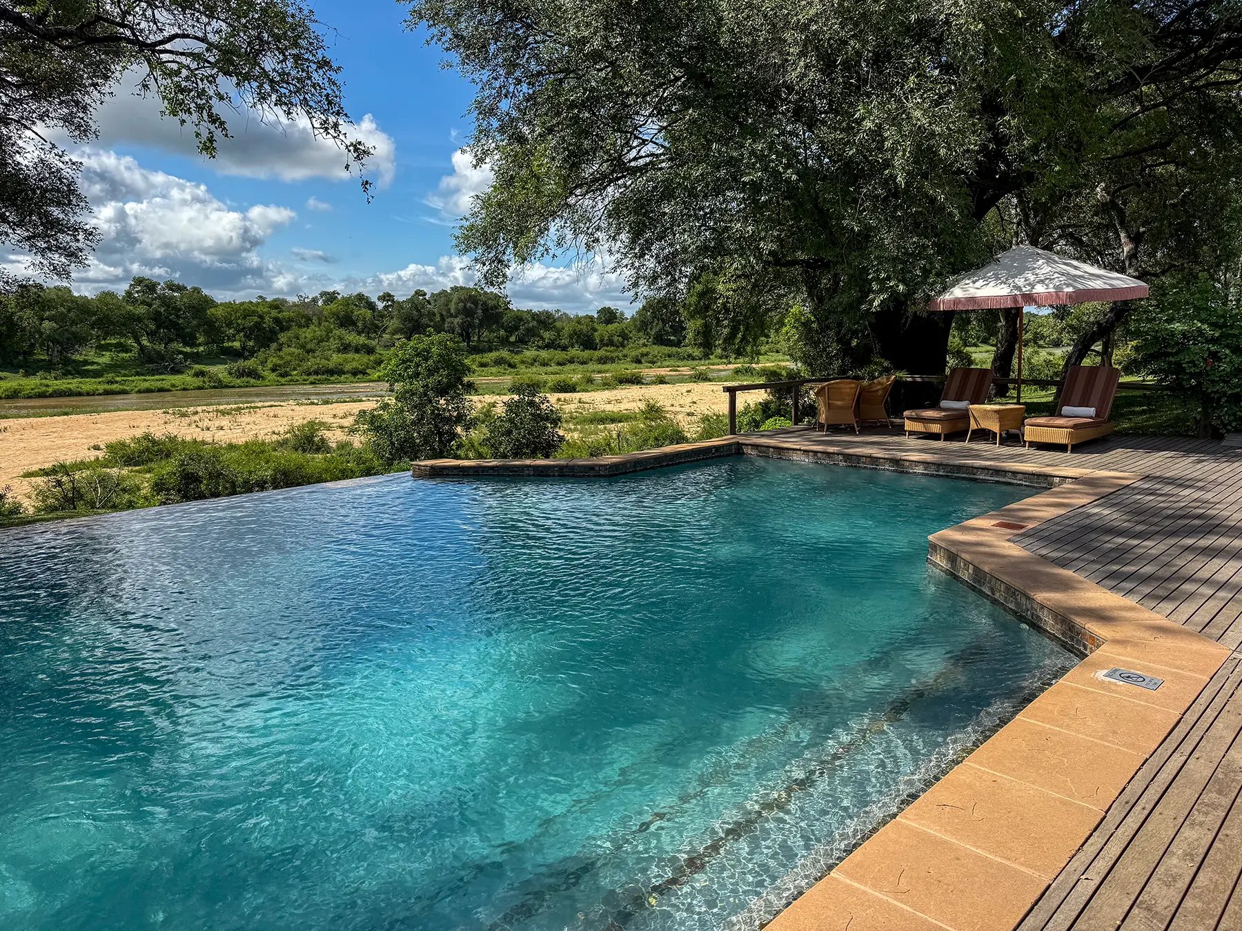 A turquoise infinity pool with a wooden deck, parasol and loungers overlooking the green bush on safari in the Sabi Sand Game Reserve, South Africa