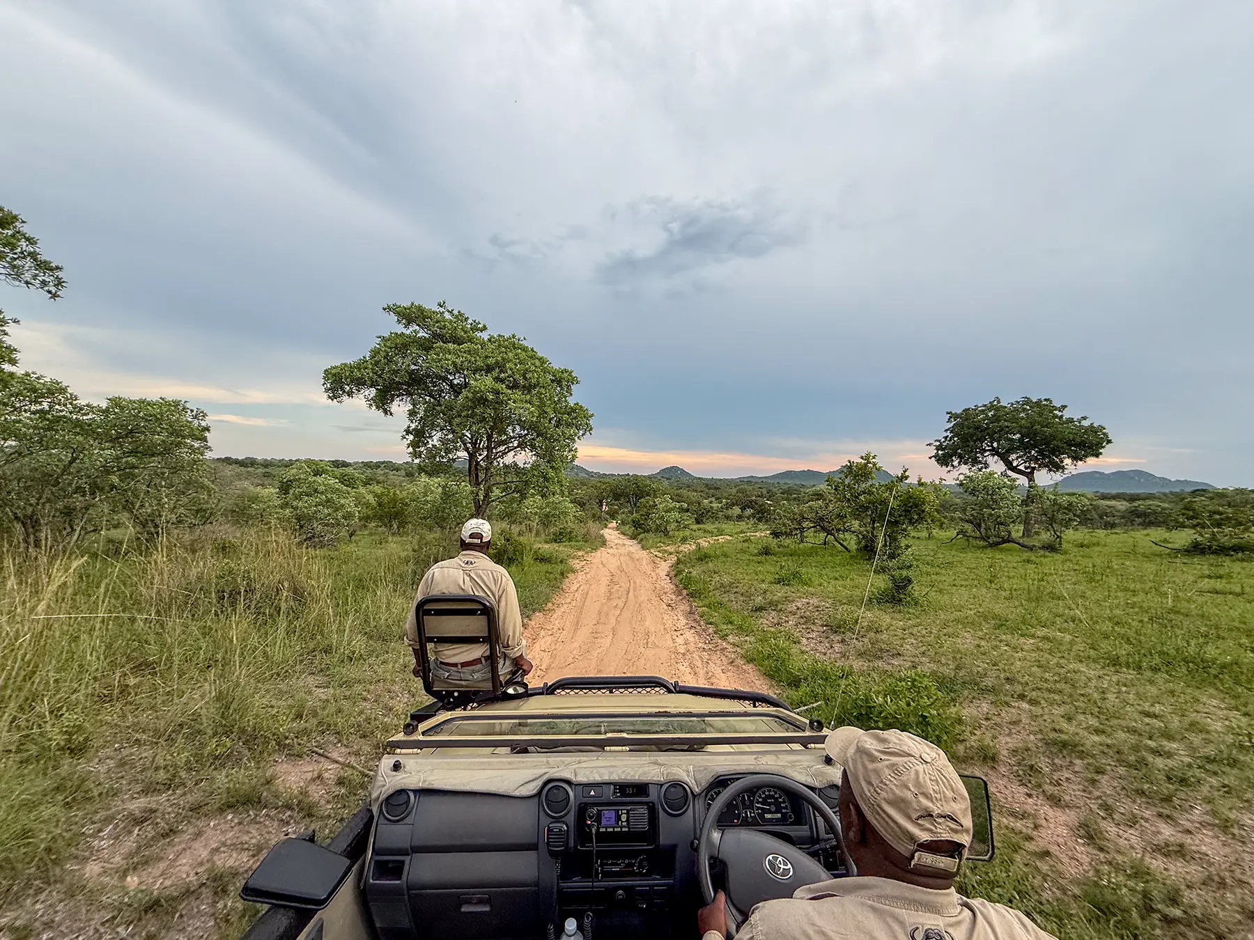 View from the back of a game drive vehicle heading down a dirt road on safari in the Sabi Sand Game Reserve, South Africa