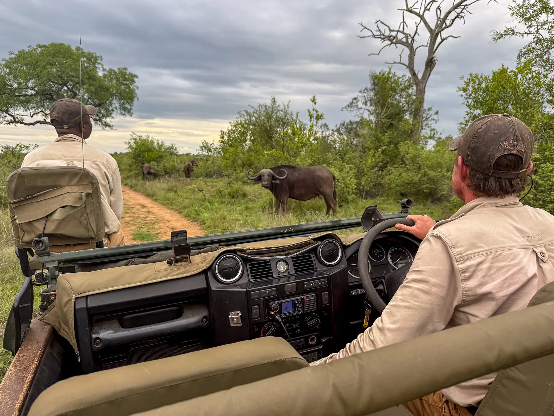 Safari guide and tracker watching buffalo from a game drive vehicle on safari in the Timbavati Private Nature Reserve, South Africa