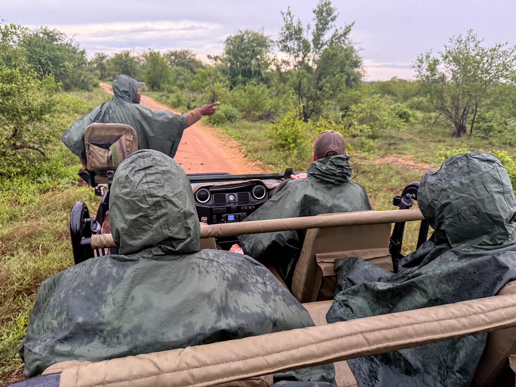 Safari guests wearing rain ponchos on a game drive vehicle with the tracker pointing out a sighting on safari in the Timbavati Private Nature Reserve, South Africa