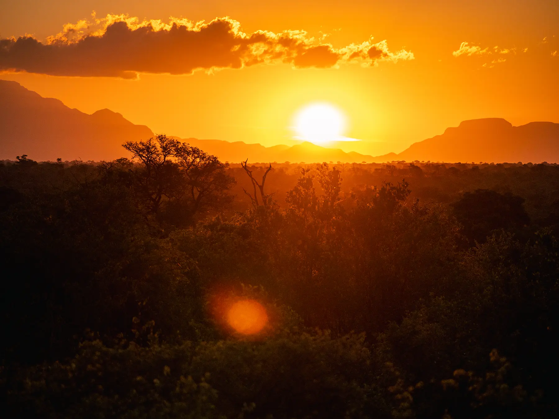 Sunset over the bushveld with the Drakensberg escarpment silhouetted on the horizon on safari in the Timbavati Private Nature Reserve, South Africa