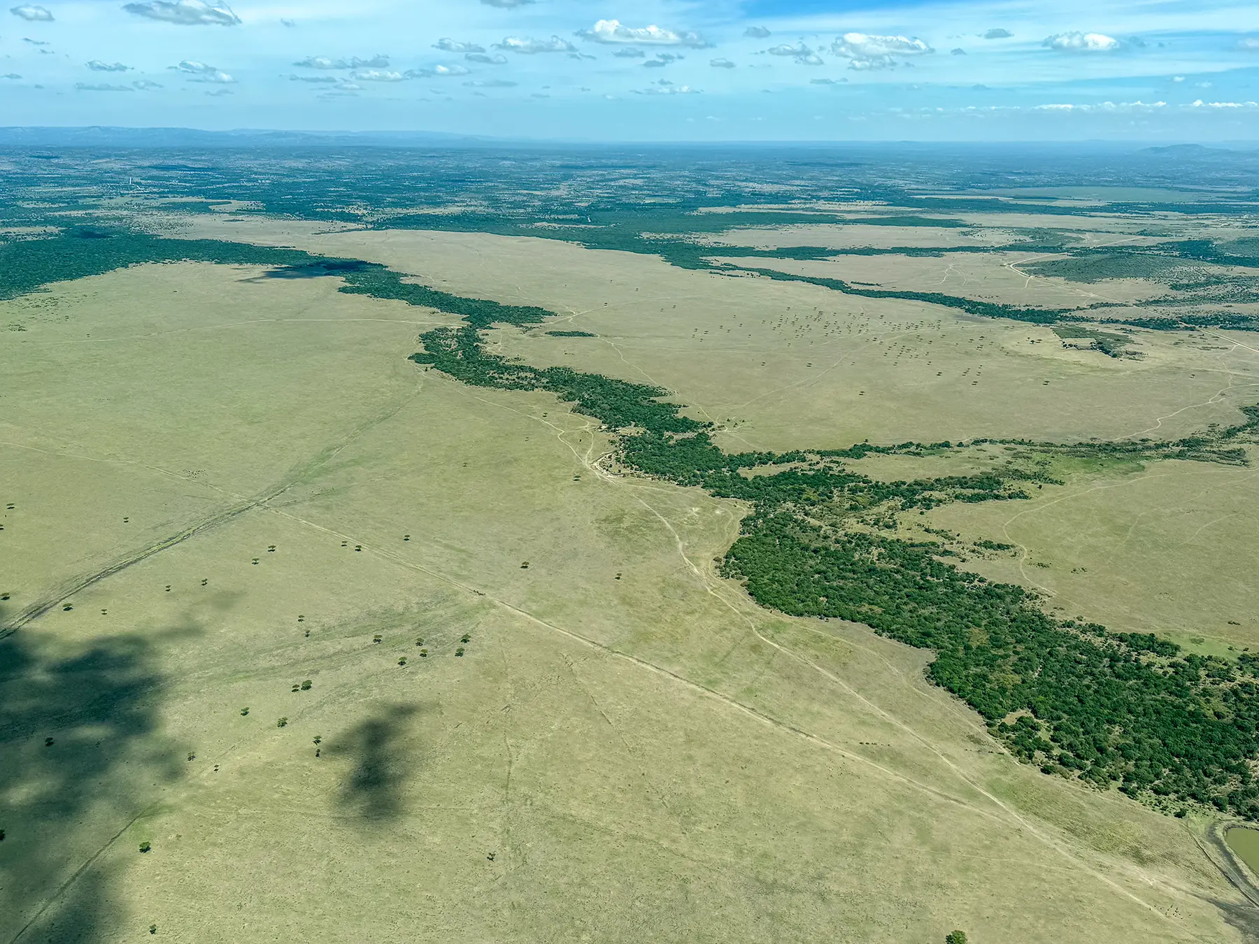 Aerial view of the open savanna and river corridor of Maasai Mara National Reserve in Kenya