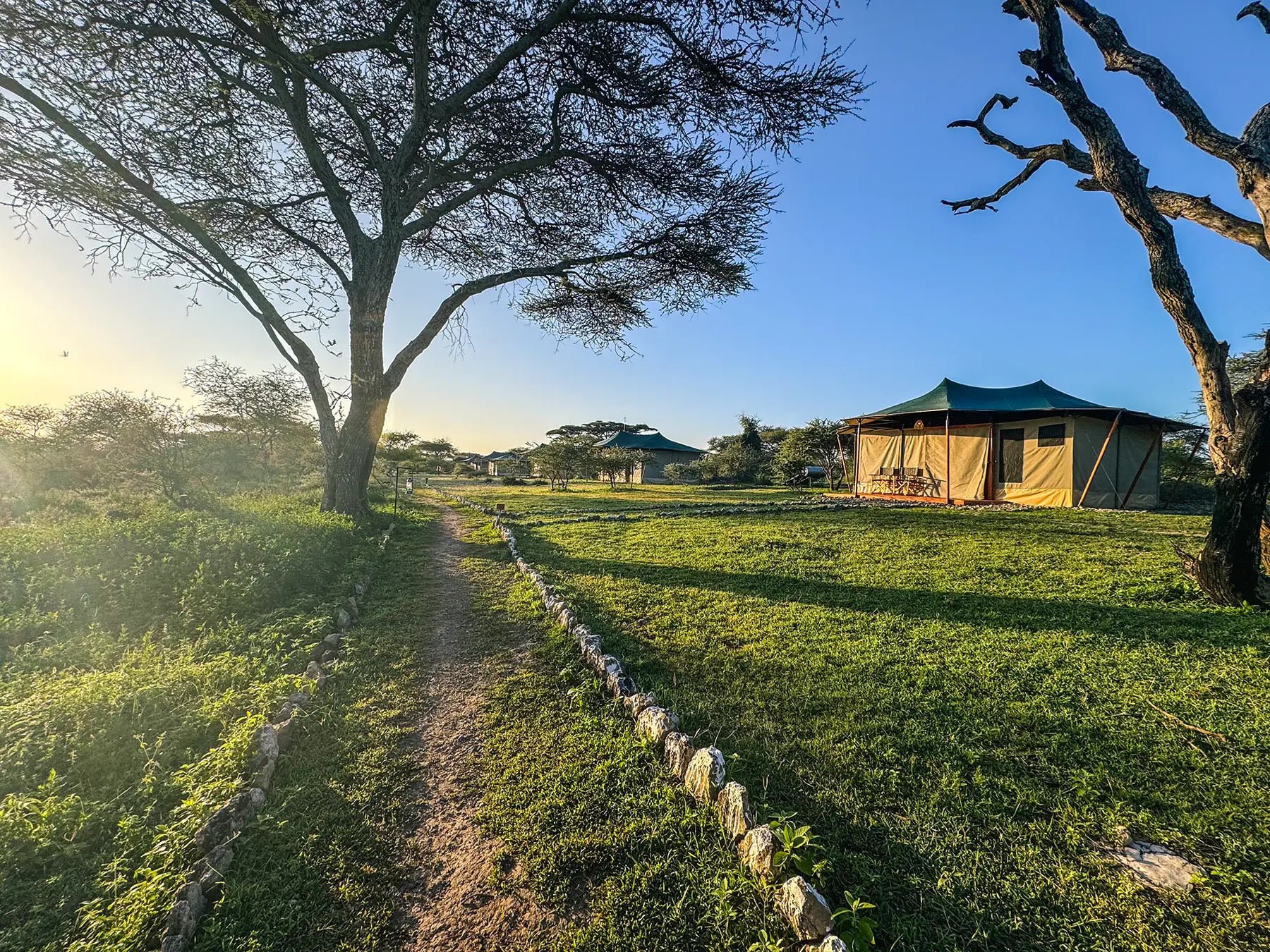 Golden morning light across the camp grounds and acacia trees at Ndutu, Southern Serengeti, Tanzania