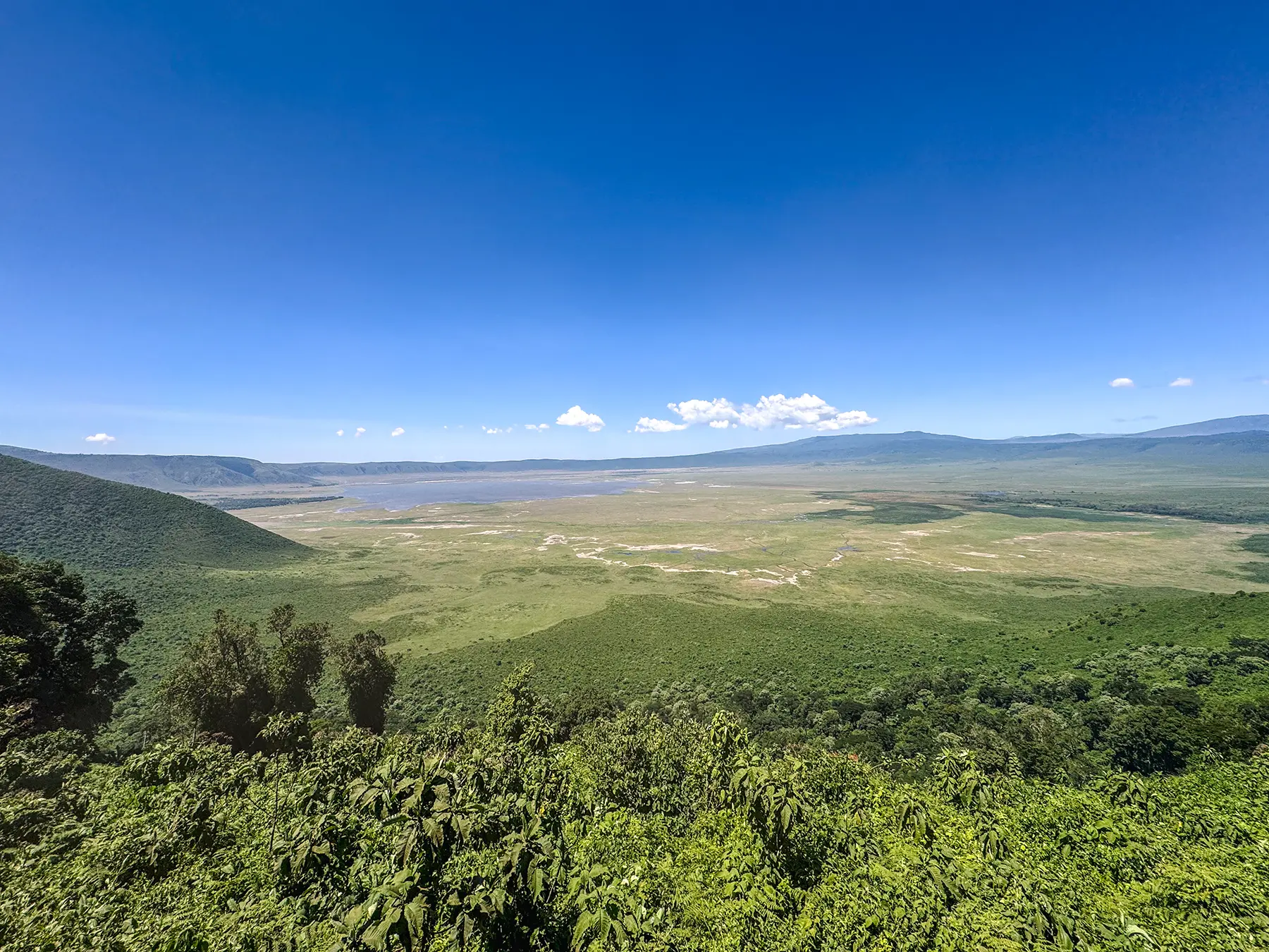 Wide panoramic view of the Ngorongoro Crater floor and caldera rim under a clear blue sky, Tanzania