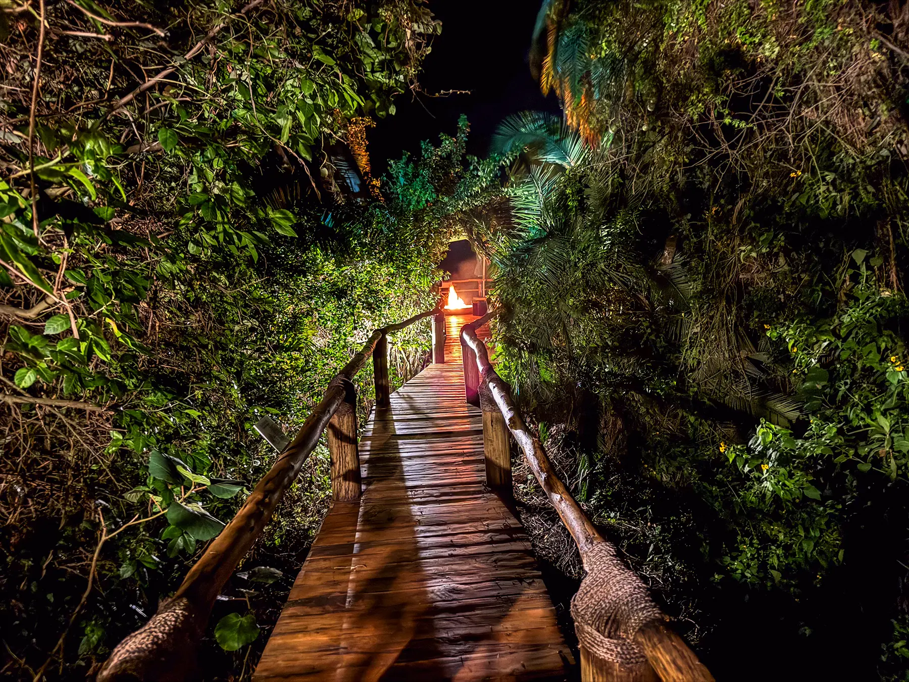Lantern-lit boardwalk leading through dense foliage at night at Ruzizi Tented Camp in Akagera National Park, Rwanda