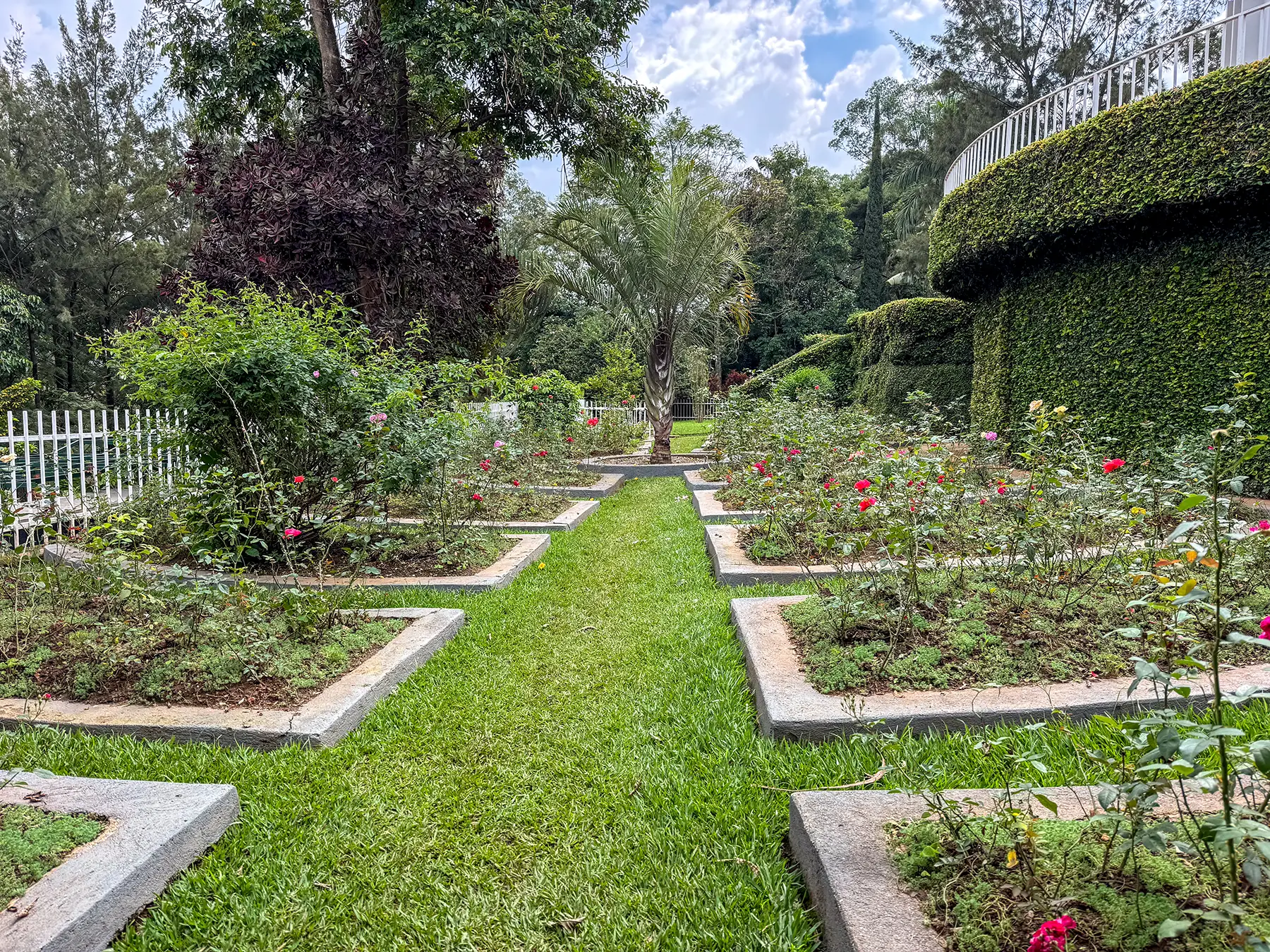 Mass-grave slabs with rose bushes and grass paths in the memorial garden at Kigali Genocide Memorial in Kigali, Rwanda