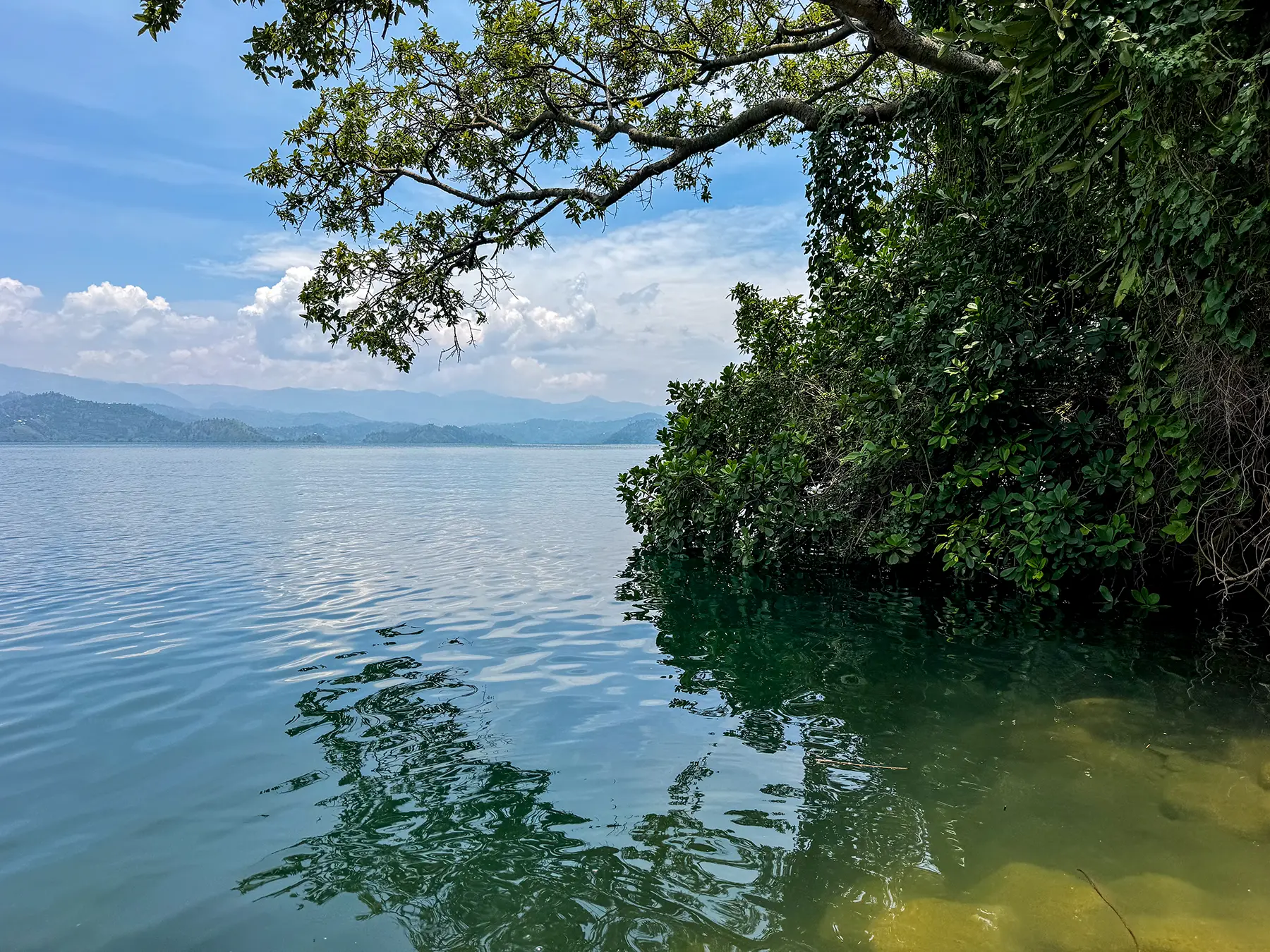 Distant mountains framed by overhanging branches across the lake at Lake Kivu, Rwanda