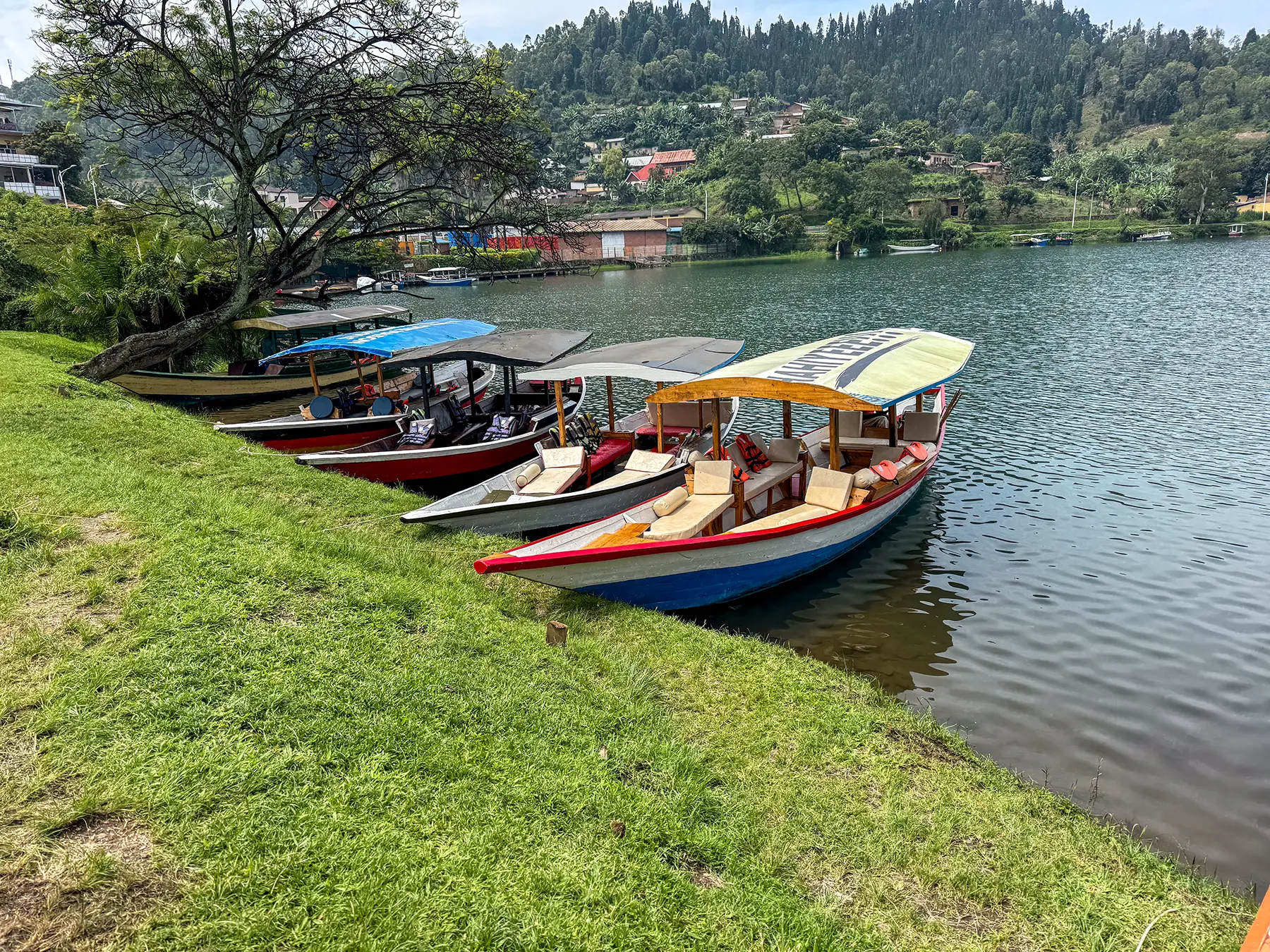 Wooden cruise boats moored along a grassy shoreline at Lake Kivu, Rwanda