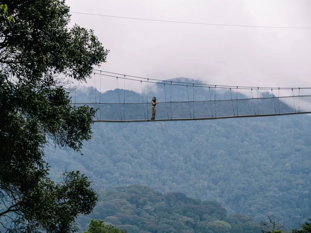 Ella McKendrick on suspension bridge against misty mountain ridges at Canopy Walk in Nyungwe National Park, Rwanda