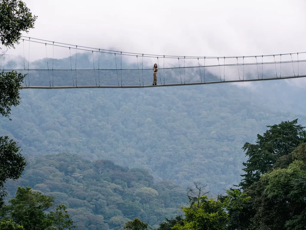 Ella McKendrick on suspended walkway spanning a forested valley at Canopy Walk in Nyungwe National Park, Rwanda