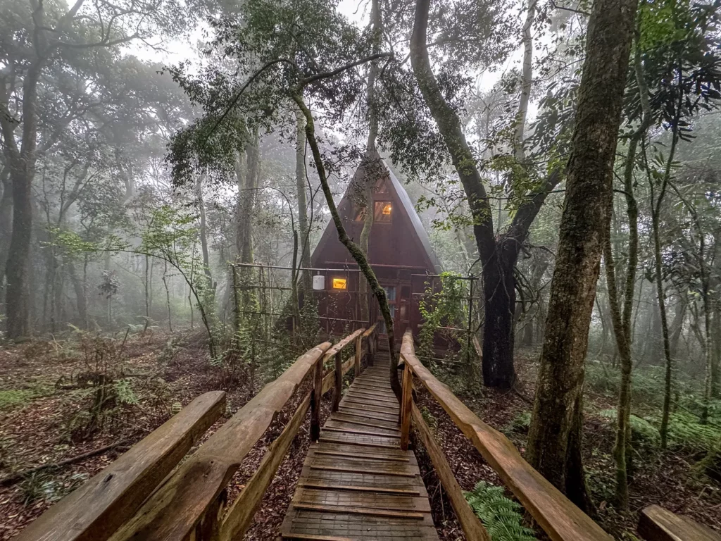 Triangular forest cottage and walkway in misty rainforest at Munazi Lodge in Nyungwe National Park, Rwanda
