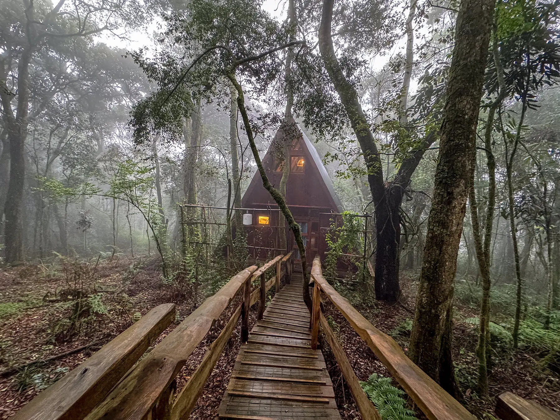 Triangular forest cottage and walkway in misty rainforest at Munazi Lodge in Nyungwe National Park, Rwanda
