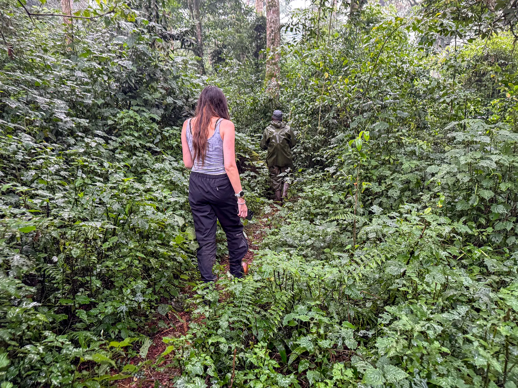 Ella McKendrick following an armed ranger along a narrow forest path on safari in Nyungwe National Park, Rwanda