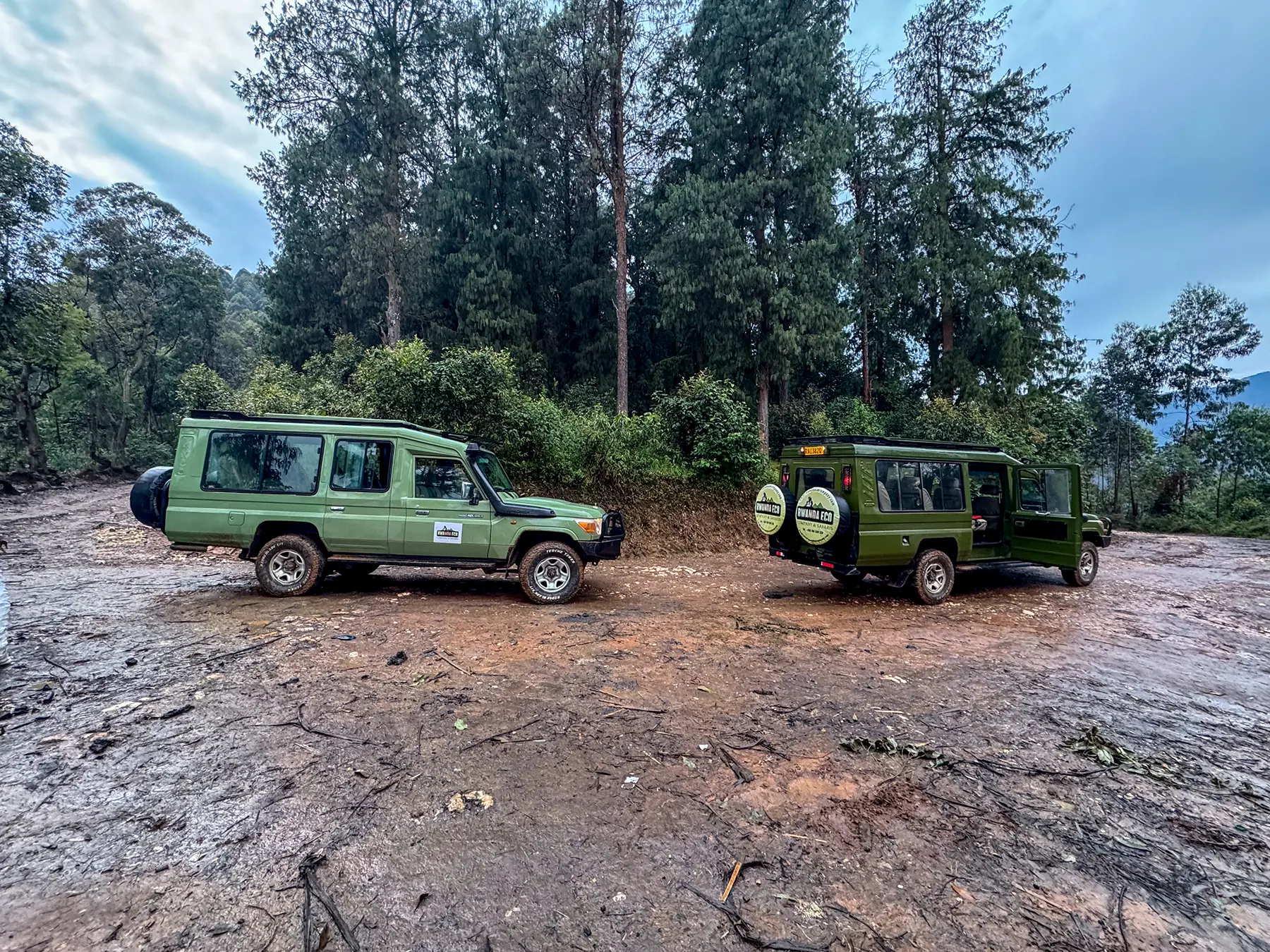 Two green Land Cruisers parked in a forest clearing at the trek trailhead in Nyungwe National Park, Rwanda