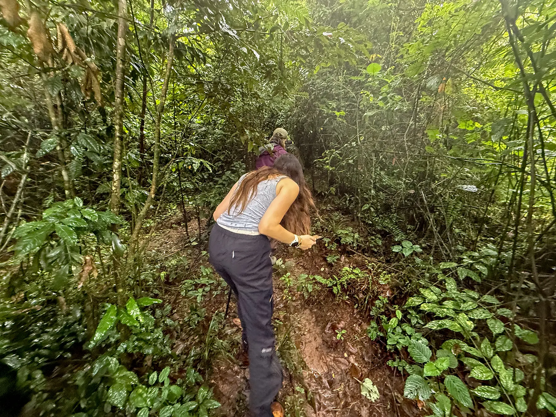 Ella McKendrick crouching on a forest trail through dense undergrowth on the trek on safari in Nyungwe National Park, Rwanda