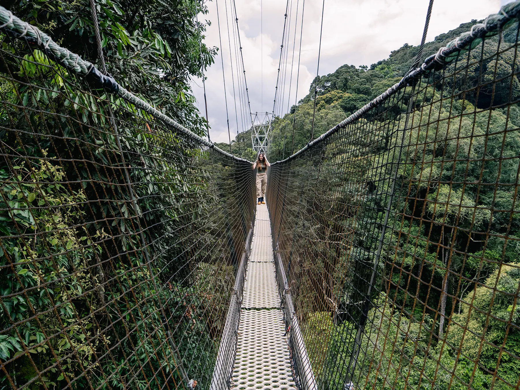Ella McKendrick looking along the suspended walkway with figures ahead at Canopy Walk in Nyungwe National Park, Rwanda