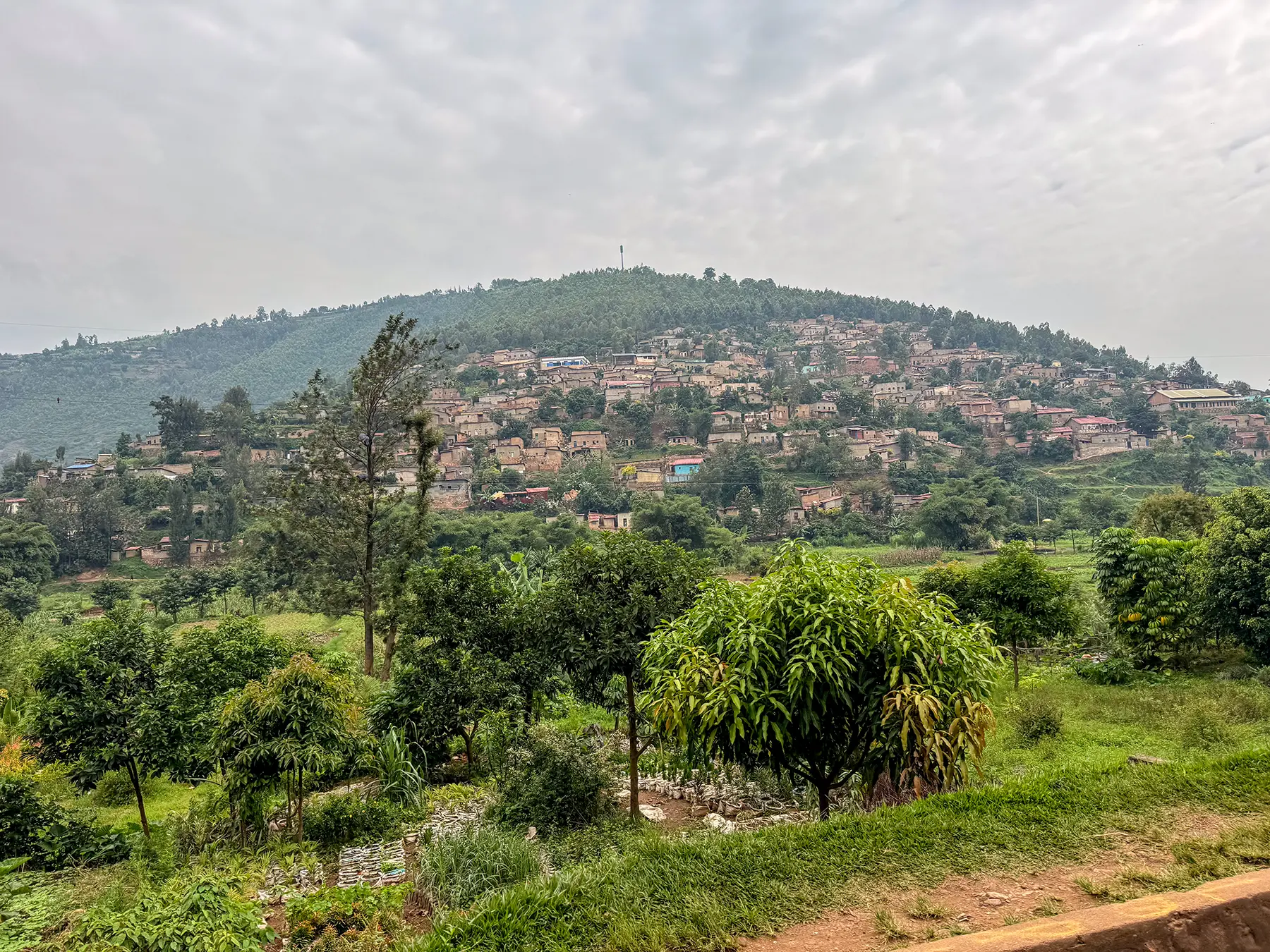 Terraced hillside covered in colourful houses viewed from roadside at Kigali, Rwanda