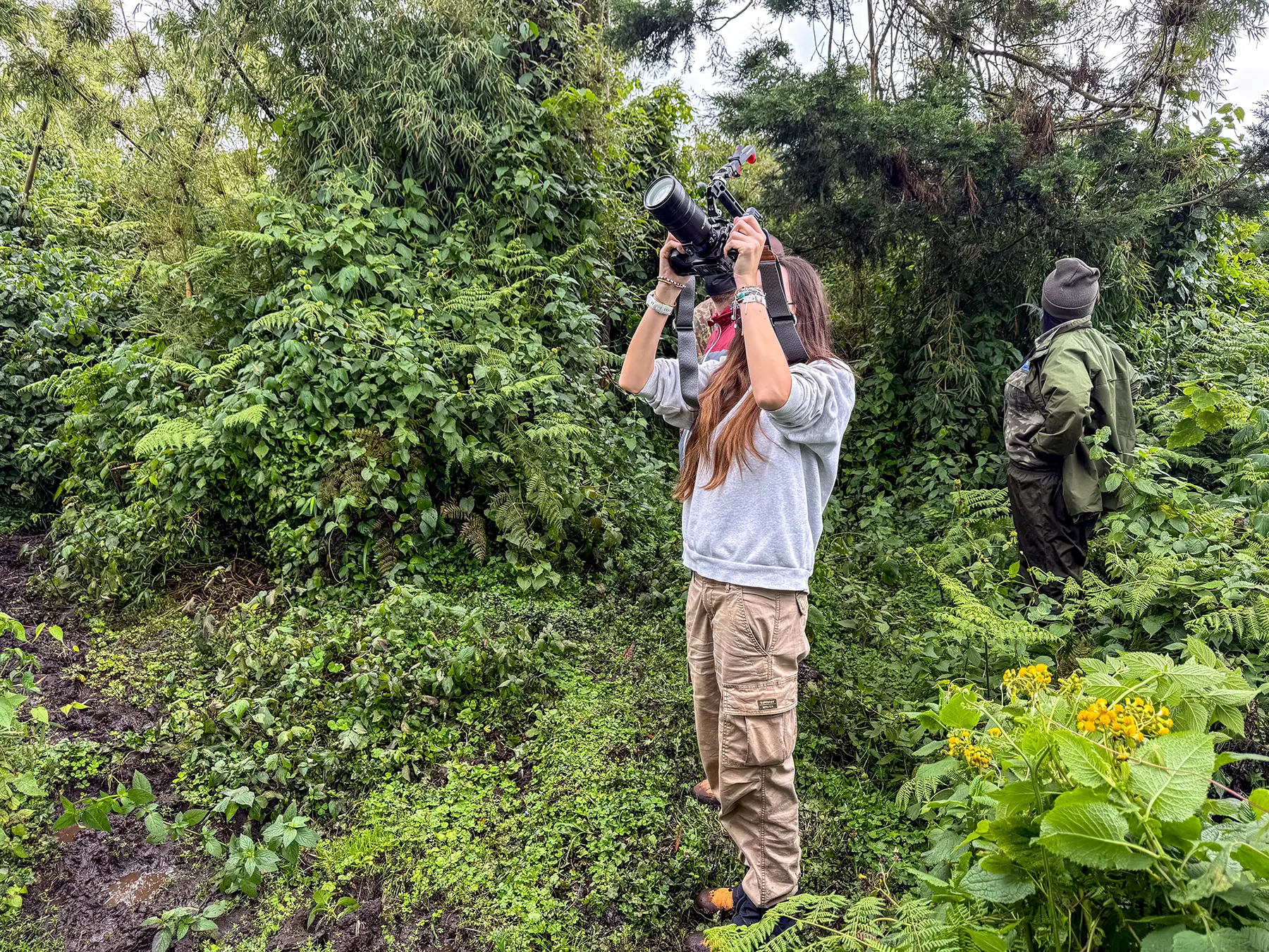 Ella McKendrick pointing a telephoto lens upward in dense green forest undergrowth at Volcanoes National Park, Rwanda