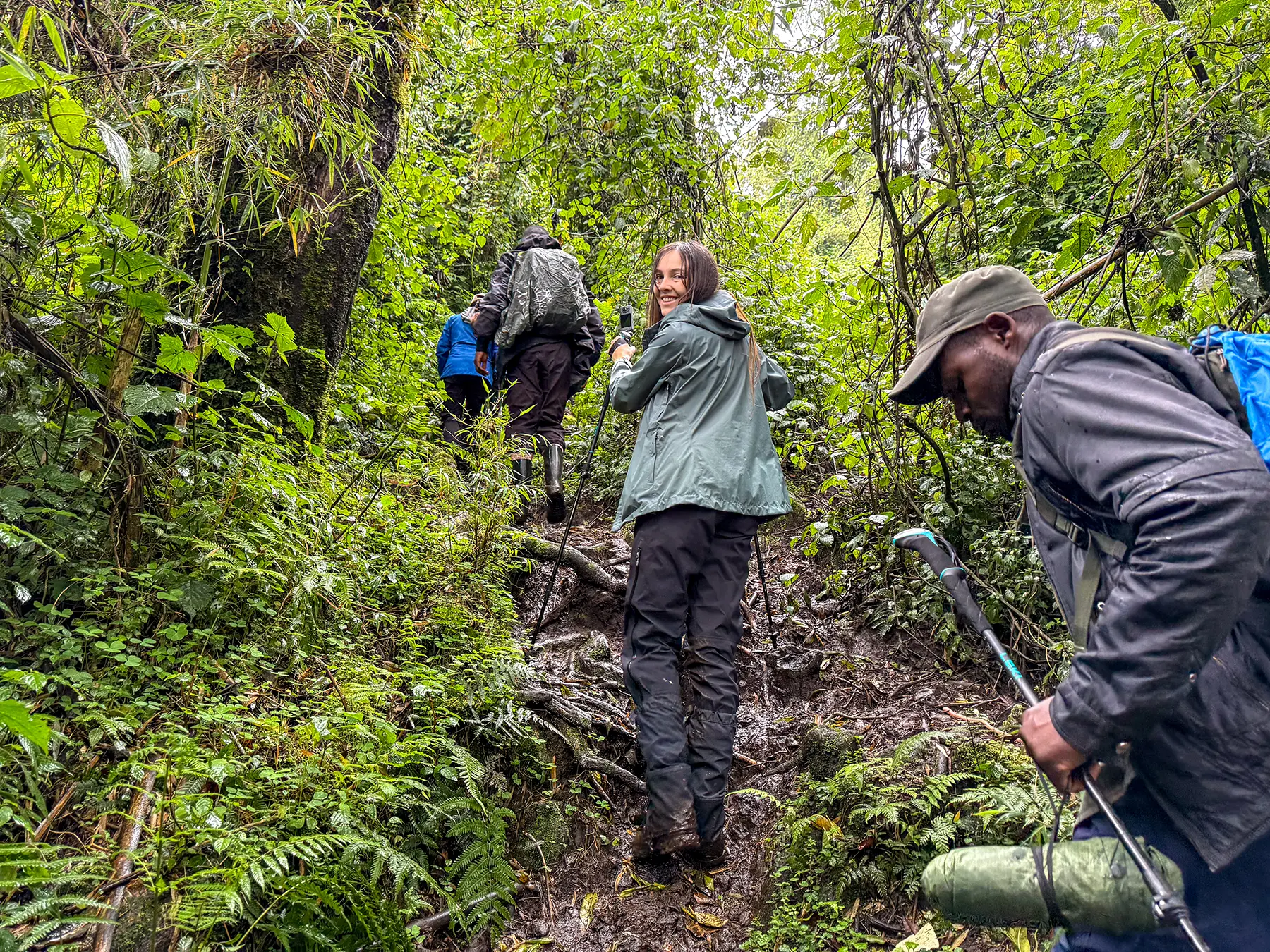 Ella McKendrick and trekking group climbing a steep muddy path through dense forest at the lower slopes in Volcanoes National Park, Rwanda
